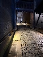 IMG_2051-9 Zugangsendspurt...