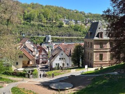 Calw