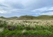 IMG_5606-8 Zw. John o'Groats und Thurso