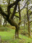 IMG_6119-6 Am Strassenrand