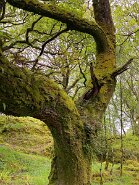 IMG_6120-7 Am Strassenrand