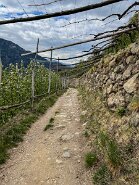 B20B1EF7-90D8-4F3E-8B11-B1CF954354DC-25336-00002C7C0E736385-5